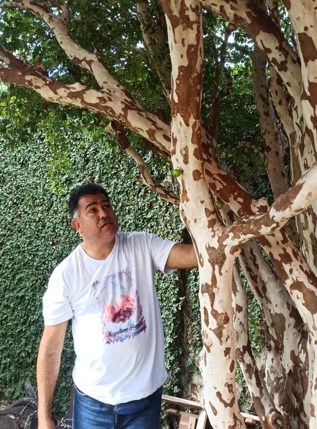 Gilmar Fagundes
Casado • Espírita Kardecista
Trabalhador dedicado à causa espírita
Praticante do Magnetismo Humano desde novembro de 2022